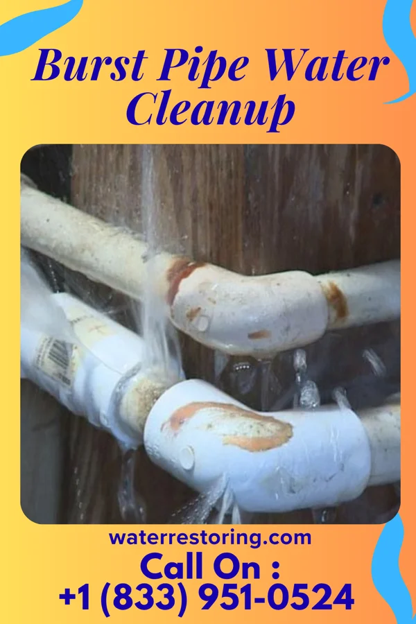 Burst Pipe Water Cleanup in Three Lakes, WA