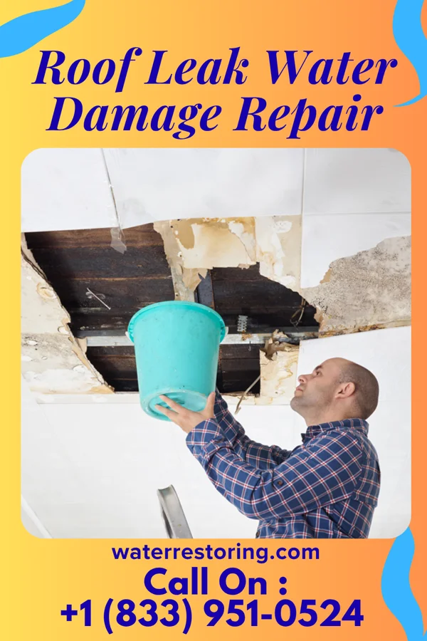 Roof Leak Water Damage Repair in Three Lakes, WA