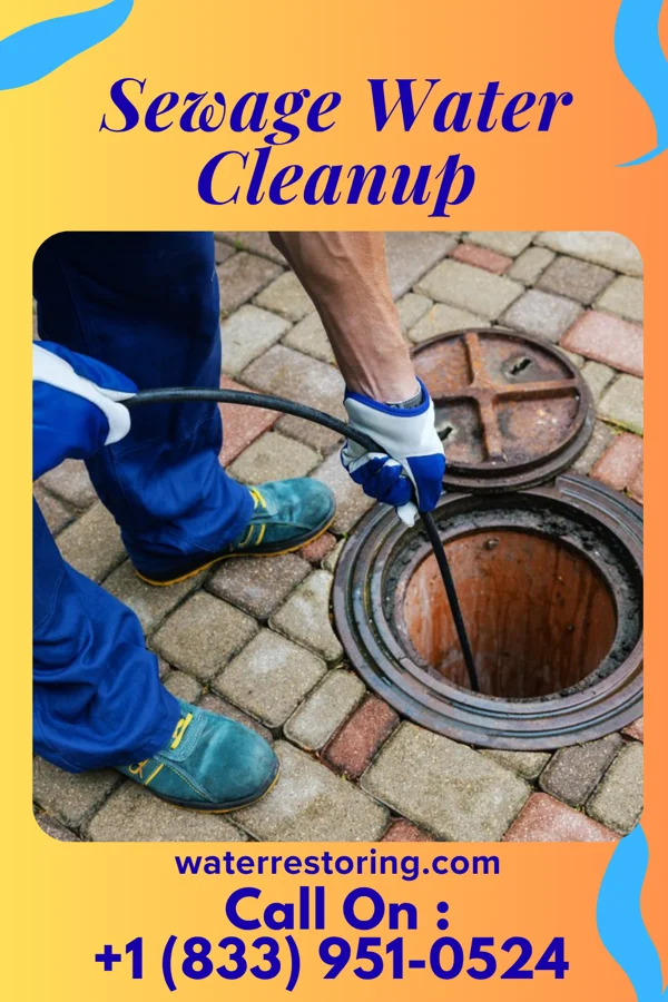 Sewage Water Cleanup in Three Lakes, WA