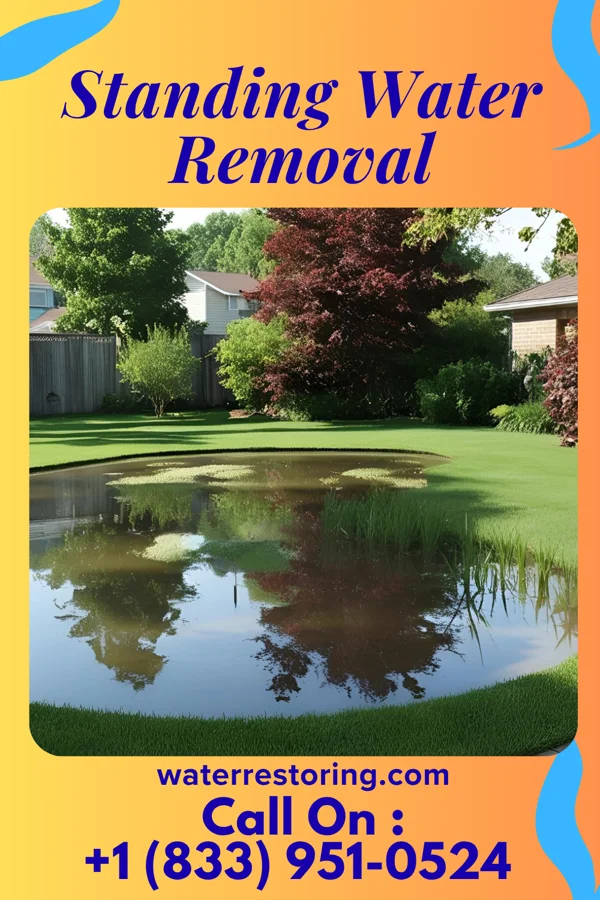 Standing Water Removal in Three Lakes, WA